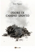 Odore di camino spento