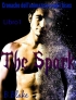 The Spark: Cronache dellAmmazzavampiri Bisex 