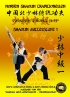 Shaolin Mittelstufe 1