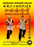 Shaolin Tong Bei Zhang - Advanced M...